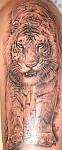     
: DSC00222.JPG
: 9
:	52.9 
ID:	4394170