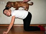     
: IMG_8516.JPG
: 24
:	79.5 
ID:	4394318
