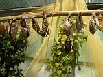     
: DSC05582.jpg
: 16
:	145.6 
ID:	4397029