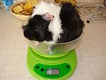     
: DSC02463.JPG
: 12
:	152.4 
ID:	4397751