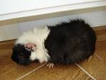     
: DSC02466.JPG
: 14
:	119.1 
ID:	4397757