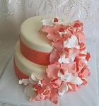     
: IMG_6506.jpg
: 7
:	81.6 
ID:	4398067