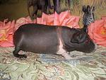     
: P6100009.jpg
: 11
:	167.9 
ID:	4400525