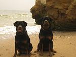     
: IMG_0647.jpg
: 52
:	96.4 
ID:	440092