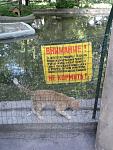     
: DSC04567.jpg
: 17
:	142.3 
ID:	4401615