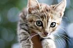     
: IMG_1601-1.jpg
: 7
:	70.0 
ID:	4405609