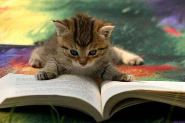     
: Cat-CatReadingBook03.jpg
: 1
:	25.1 
ID:	4406265