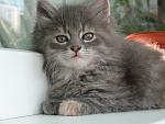     
: IMG_4993.jpg
: 14
:	127.5 
ID:	4409516