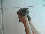     
: IMG_4985.jpg
: 26
:	86.9 
ID:	4409517