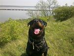     
: 01052012983.jpg
: 13
:	301.7 
ID:	4412233