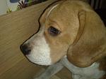     
: 110620123325_ .jpg
: 16
:	147.4 
ID:	4414209