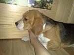     
: 110620123337_ .jpg
: 14
:	145.9 
ID:	4414213