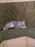     
: 24052012173.jpg
: 24
:	91.7 
ID:	4414485