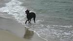     
: IMG_2454.jpg
: 8
:	103.4 
ID:	4417933