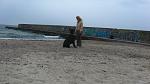     
: IMG_2450.jpg
: 5
:	116.5 
ID:	4417934