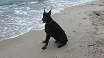     
: IMG_2440.jpg
: 6
:	115.3 
ID:	4417935