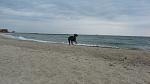     
: IMG_2448.jpg
: 7
:	93.9 
ID:	4417937