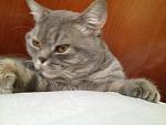     
: IMG_2017.jpg
: 10
:	126.9 
ID:	4419335