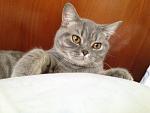     
: IMG_2014.jpg
: 8
:	128.3 
ID:	4419337