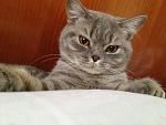     
: IMG_2016.jpg
: 8
:	147.0 
ID:	4419343