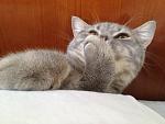     
: IMG_2021.jpg
: 8
:	147.9 
ID:	4419344