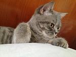     
: IMG_2018.jpg
: 6
:	137.3 
ID:	4419346