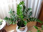     
: DSC00765.JPG
: 12
:	109.8 
ID:	4420601