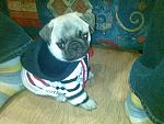     
: 14102009(006).jpg
: 19
:	179.4 
ID:	4421181