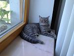     
: IMG_2035.jpg
: 9
:	101.5 
ID:	4422362