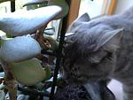    
: IMG_2038.jpg
: 9
:	91.1 
ID:	4422363