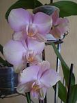     
: P1010653.JPG
: 8
:	158.7 
ID:	4427622