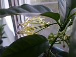     
: P1010600.JPG
: 8
:	156.0 
ID:	4427727