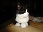     
: DSC06641.jpg
: 11
:	63.4 
ID:	4428383