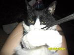     
: bXp2eCQ6Fjs.jpg
: 10
:	155.2 
ID:	4428385