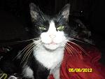     
: P7bFxEeXWbc.jpg
: 11
:	202.2 
ID:	4428386