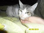     
: YX64zRME7GY.jpg
: 16
:	49.1 
ID:	4428387