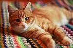     
: z_a6bf0d54.jpg
: 27
:	159.1 
ID:	4428446
