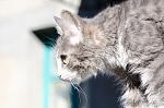     
: DSC_8167.jpg
: 6
:	65.2 
ID:	4429600