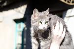     
: DSC_8171.jpg
: 5
:	50.6 
ID:	4429601