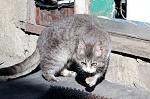     
: DSC_8183.jpg
: 10
:	79.4 
ID:	4429602