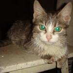     
: DSC04377.JPG
: 6
:	81.1 
ID:	4429613