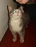     
: DSC04370.JPG
: 8
:	98.6 
ID:	4429614