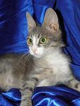     
: P5225571.JPG
: 8
:	219.7 
ID:	4429662