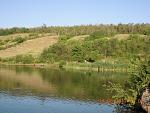     
: DSCN1945.jpg
: 128
:	177.8 
ID:	4431280