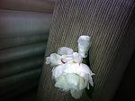     
: IMG_0367.jpg
: 129
:	141.8 
ID:	4431929