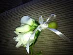     
: IMG_0369.jpg
: 138
:	103.2 
ID:	4431931