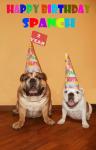     
: Happy-Birthday-Spanch-2-year.jpg
: 6
:	50.1 
ID:	4432467