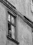     
: IMG_7151.jpg
: 140
:	107.7 
ID:	4436080
