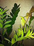     
: IMG_0405.jpg
: 13
:	128.2 
ID:	4437841