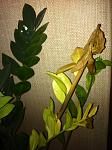     
: IMG_0404.jpg
: 17
:	94.9 
ID:	4437842